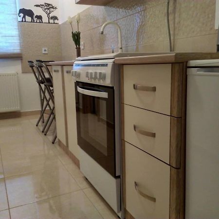 Studio Apartman Zdral داروفار المظهر الخارجي الصورة